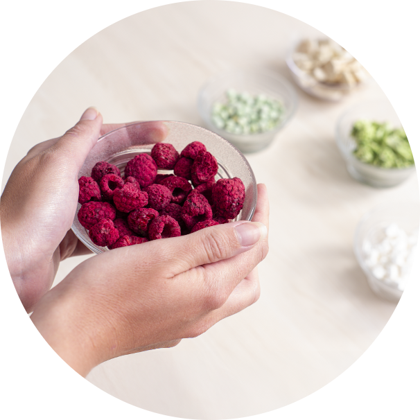 consommation snack lyophilisé Groupe NutriDry