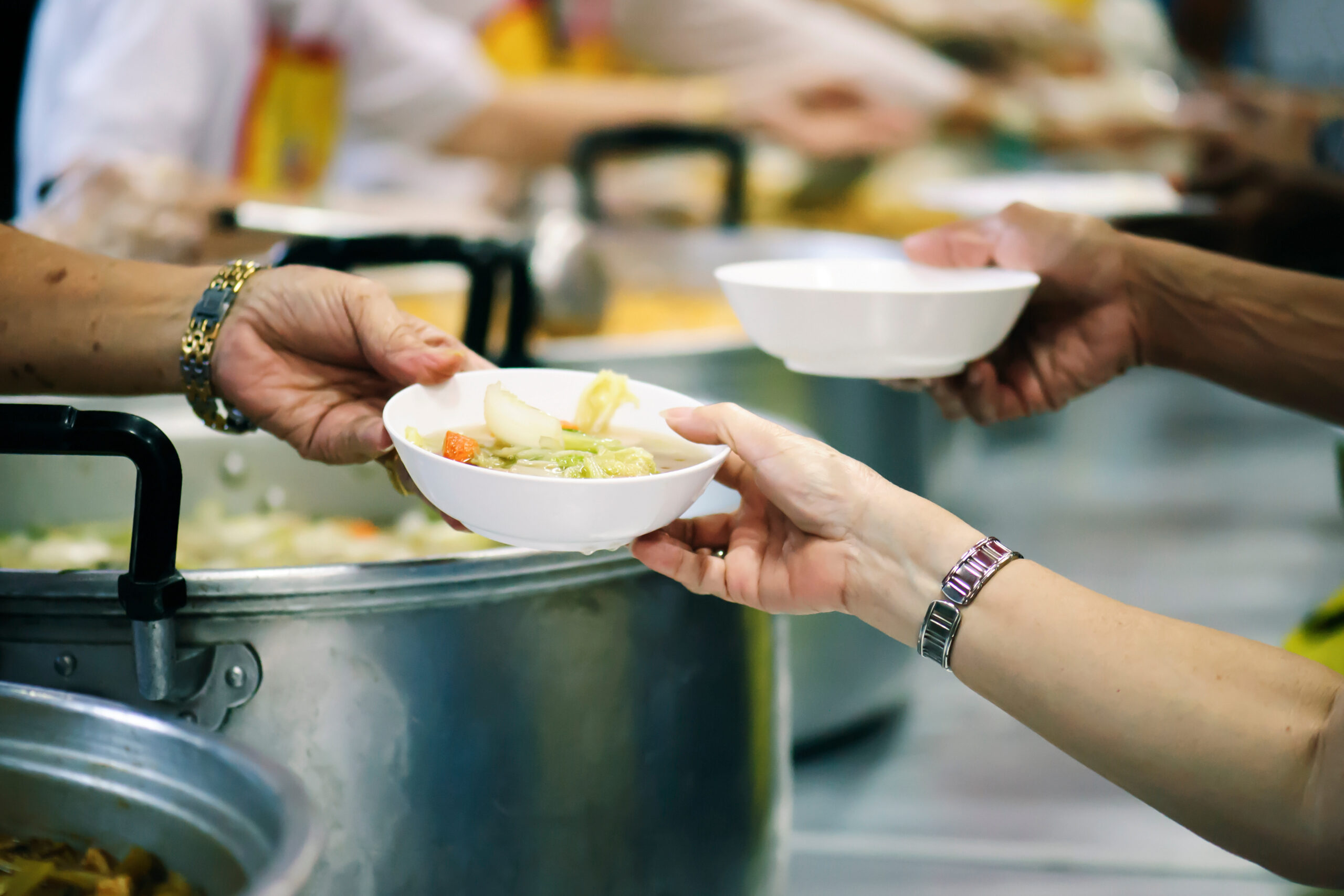Emergency Food solutions nutritionnelles d'urgence